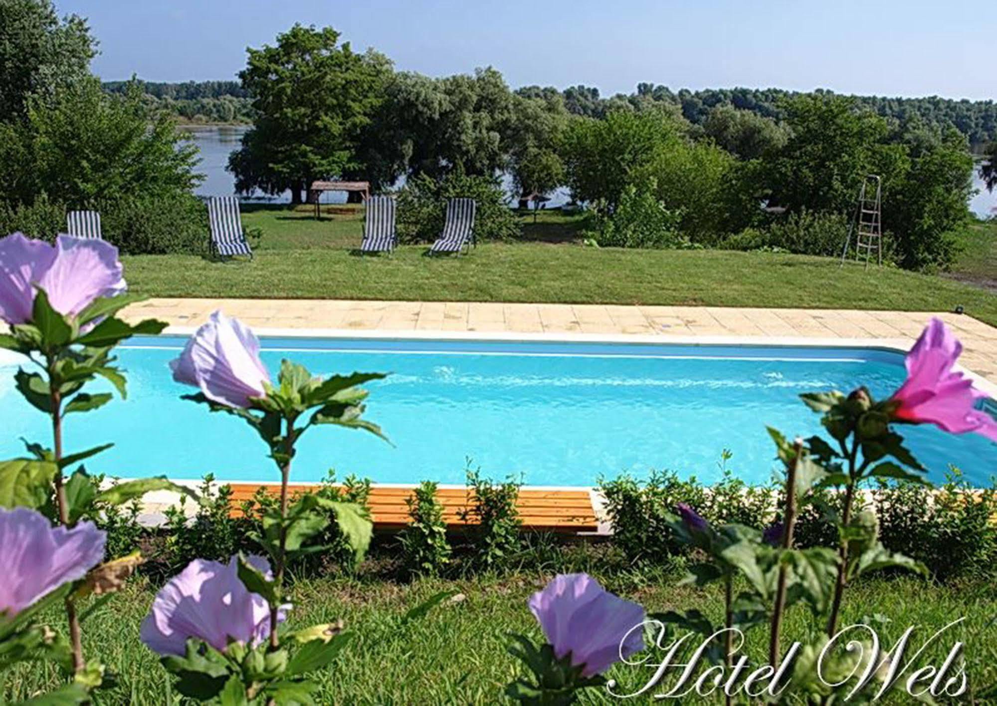 Hotel Wels Băltenii de Sus Exterior foto
